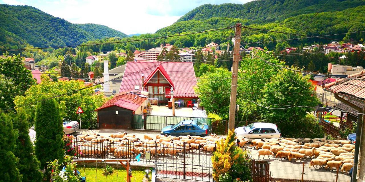 Casa Giulia Hotel Băile Olăneşti Buitenkant foto