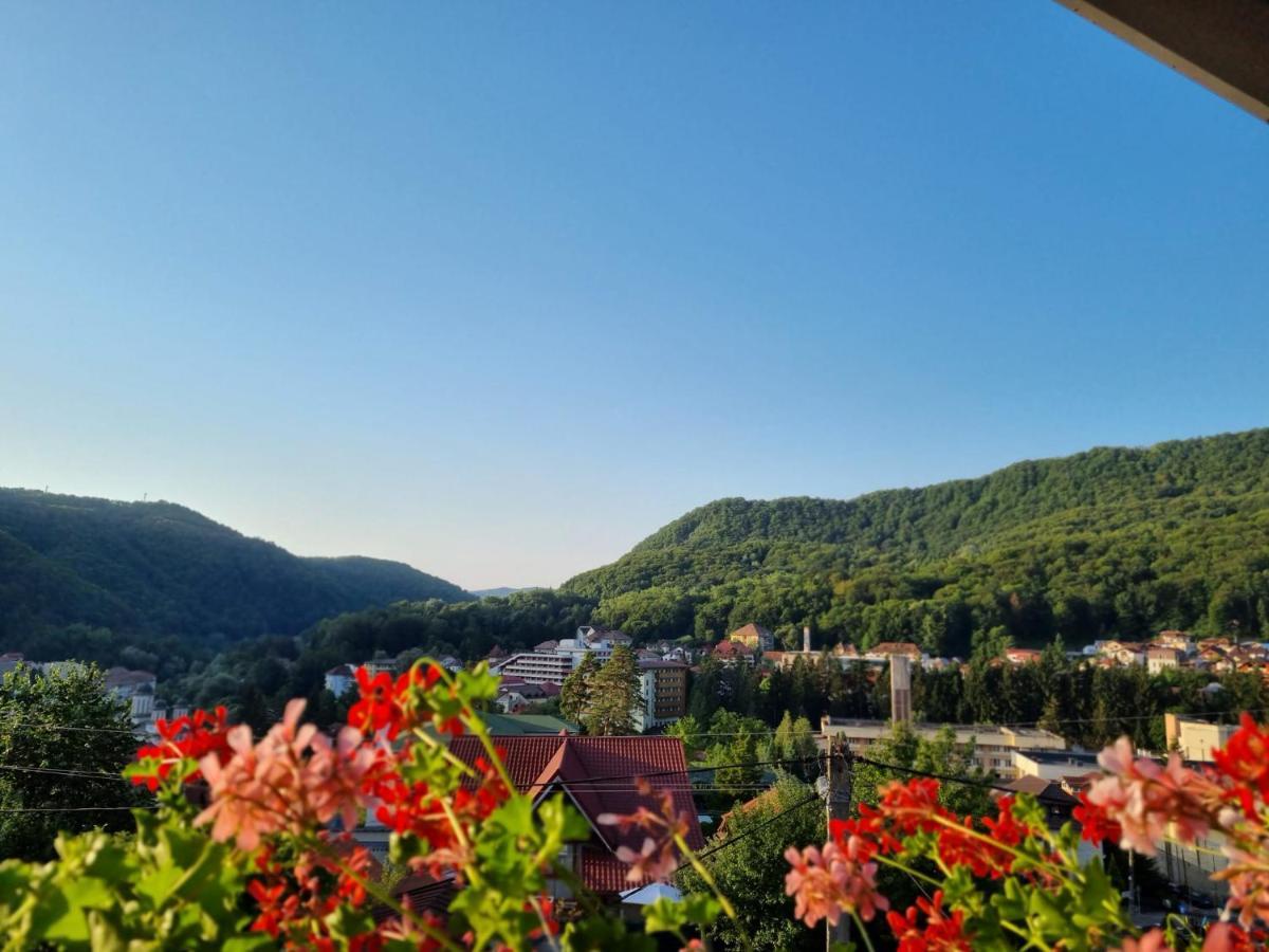 Casa Giulia Hotel Băile Olăneşti Buitenkant foto