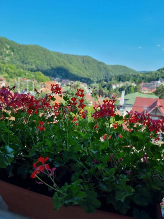 Casa Giulia Hotel Băile Olăneşti Buitenkant foto